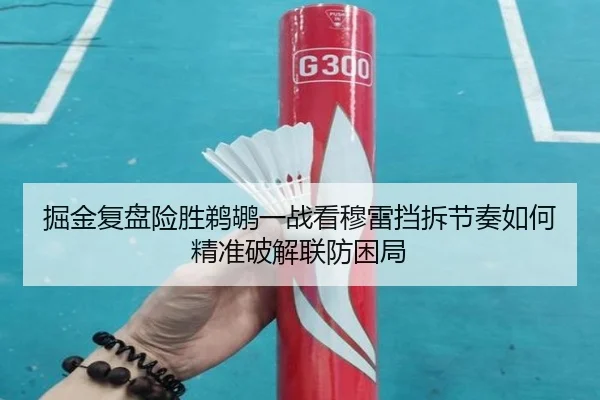 掘金复盘险胜鹈鹕一战看穆雷挡拆节奏如何精准破解联防困局